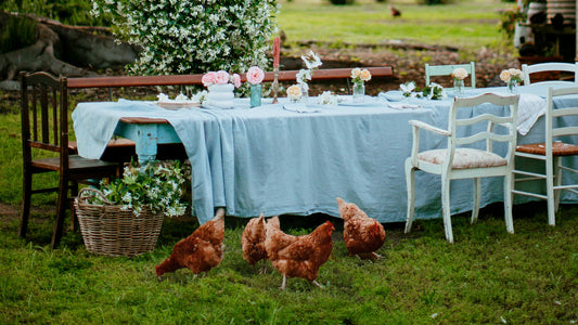 the table is set for roast night